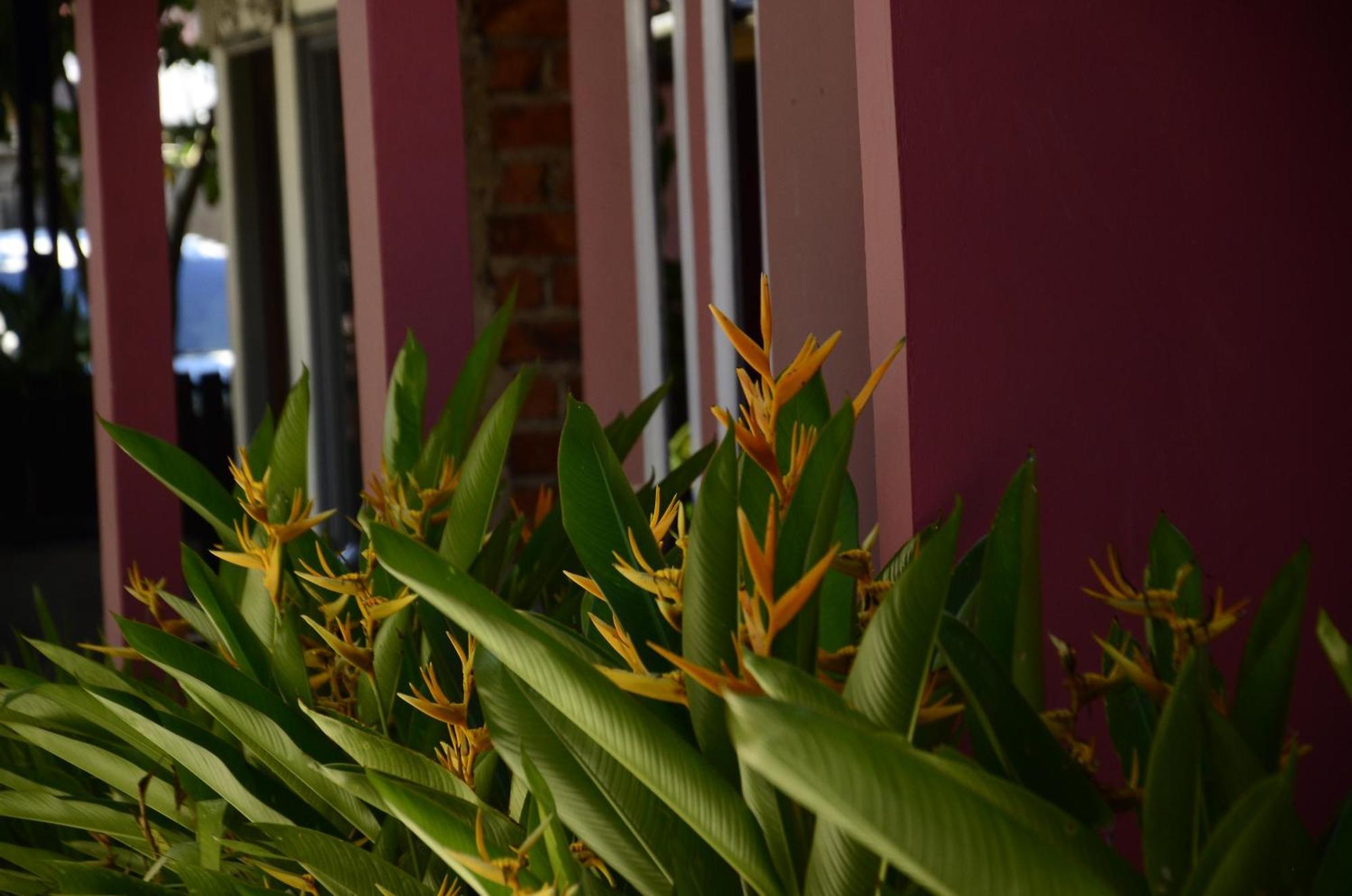 Baronda Guest House Соронг Экстерьер фото
