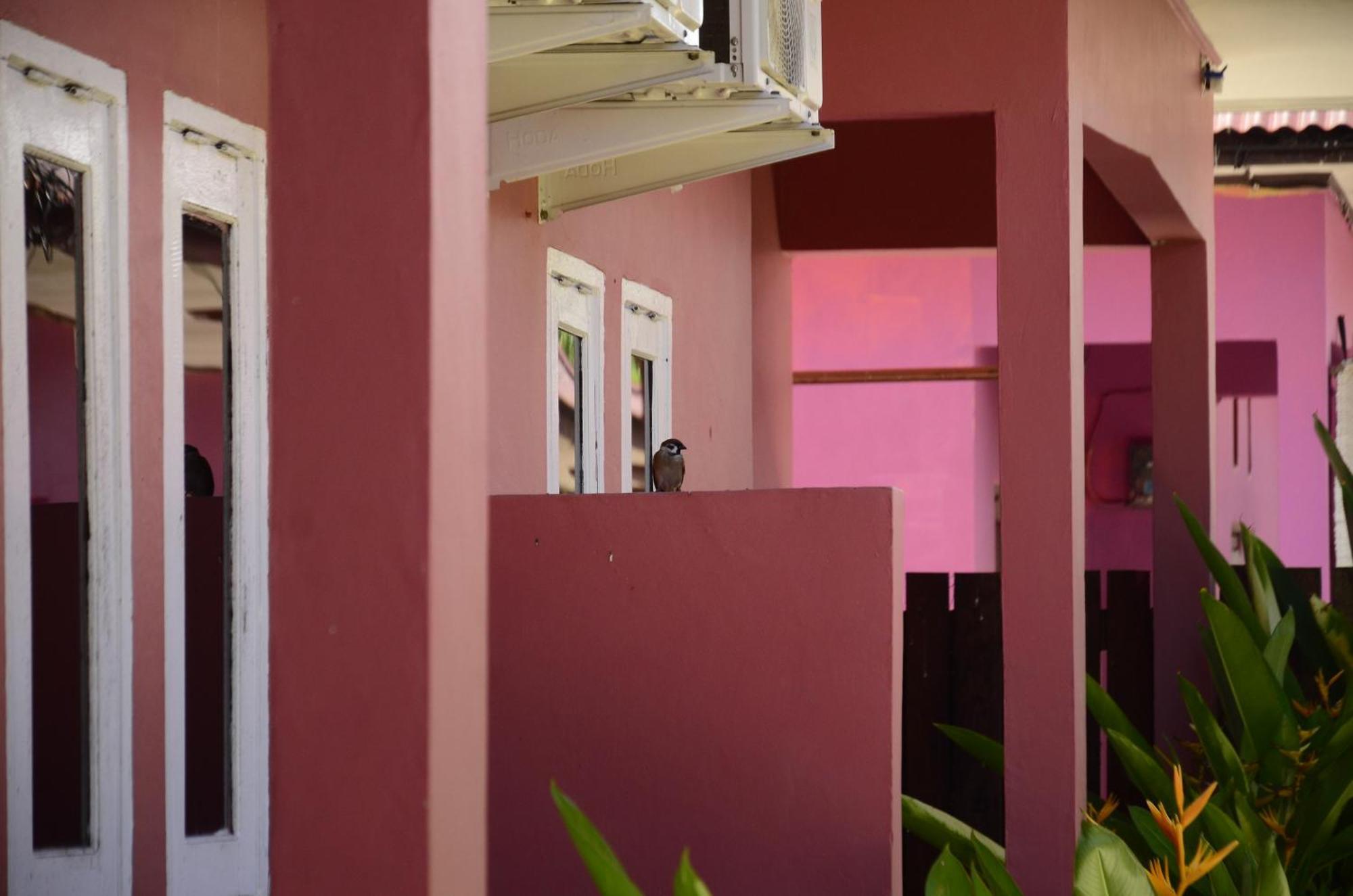 Baronda Guest House Соронг Экстерьер фото